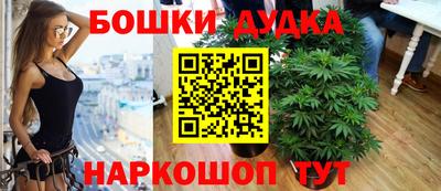 молекула духа Краснодар