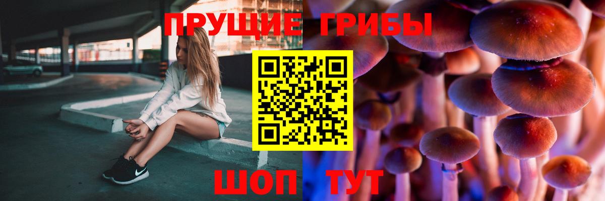Псилоцибиновые грибы мухоморы  Галлюциногенные грибы Psilocybe  Вход с VPN  Узловая 
